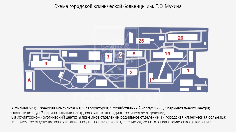 Схема морга городской клинической больницы им. Е.О. Мухина