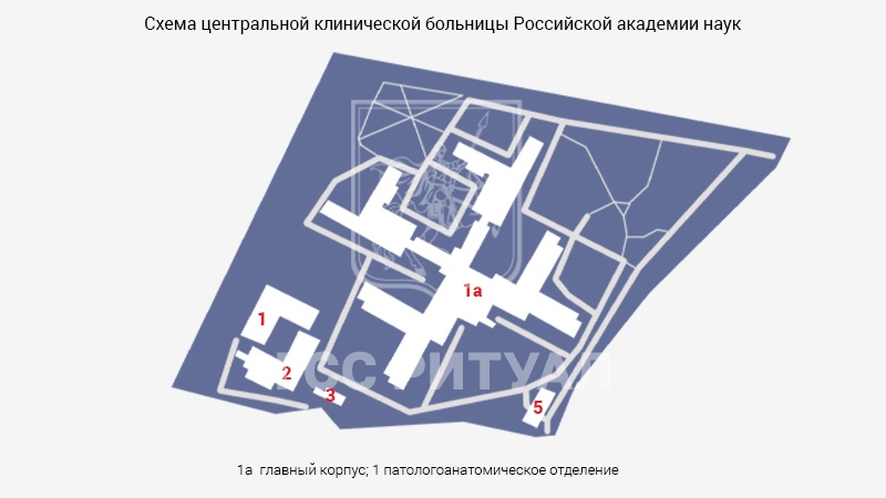 Схема морга ЦКБ РАН