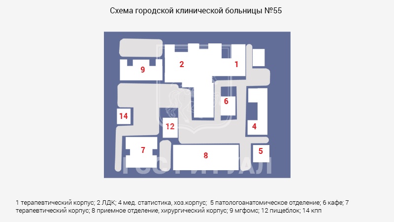 Схема морга городской клинической больницы № 55