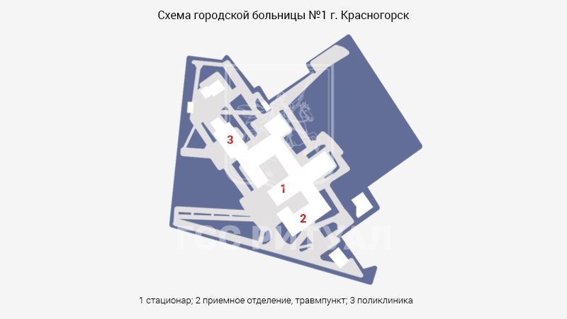 Схема морга Красногорской городской больницы № 1 в Московской области